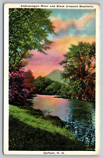NH - Androscoggin River And Black Crescent Mountain - Vintage Postcard picture
