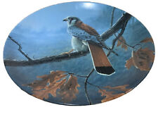 Edwin M. Knowles The American Kestrel Plate Daniel Smith The Majestic Birds picture