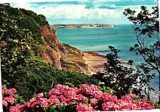 Vintage Postcard 4x6- HYDRANGEAS AND LUCCOMBE CHINE, SHANKLIN, I.W. picture