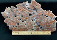 Fabulous Raft of Youngite Agate, Hartsville, Wyoming picture