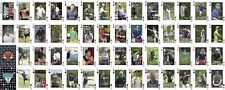 2006 PDGA National Tour Disc Golf Deck Of Cards picture