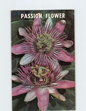 Postcard The Passion Flower picture