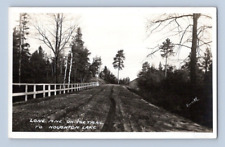 RPPC 1920'S. LONE PINE ON TRAIL TO HOUGHTON LAKE, MICH. POSTCARD JJ15 picture