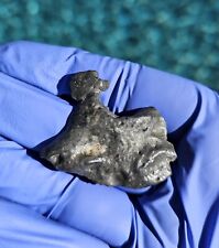 Meteorite**Tifariti 002, Lunar Feldspathic Breccia**6.926 grams, Anorth. Clasts  picture
