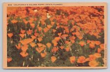 California's Golden Poppy State Flower Linen Postcard No 3182 picture