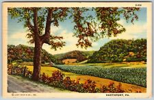 Smethport, PA - Postcard picture