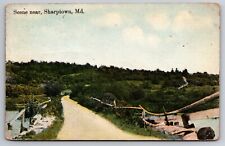 Scenic View Scene Near Sharptown Maryland MD 1914 Postcard picture