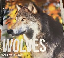 TF PUBLISHING 2024 Wolves Wall Calendar, 12