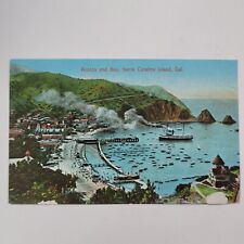 Avalon And Bay Santa Catalina Island California Steam Ships Boats Vtg Postcard picture
