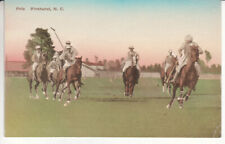 Pinehurst NC North Carolina - Polo - Rare Postcard - Hand Colored - ca 1920's  picture