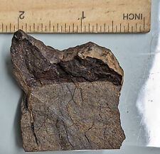 112 Gram NWA-16124 H5 Meteorite (#F4308) picture