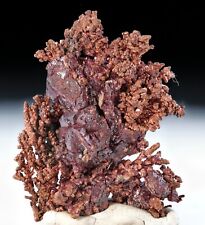 Cuprite on Dendritic Copper, Ray Mine, Pinal County, AZ CHOICE picture