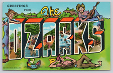 Greetings from The Ozarks, MO AK Postcard Hillbilly Chickens Large Letter picture