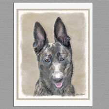 6 Dutch Shepherd Dog Blank Art Note Greeting Cards picture