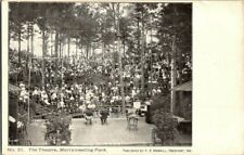 EARLY 1900'S. THE THEATRE. MERRYMEETING PARK. MAINE.  POSTCARD. RC13 picture