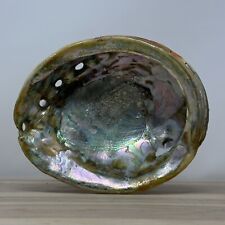 Large Red Abalone Shell 7.5” X 6” Estate Find - Beautiful Colors picture