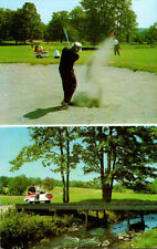 C 1960 PC GOLF COURSES CHARLES & LILLIAN BROWN'S HOTEL LOCH SHELDRAKE NY EXC * picture