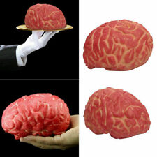 Hot Bar Decoration Props Halloween Realistic, Fake, Bloody, Human Brain Pranks picture