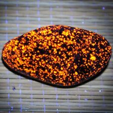 BRIGHT Yooperlite Rock from Lake Superior Fluorescent Sodalite Glow Stone X5 picture