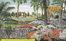 Vintage Florida Chrome Postcard Palatka Terrace View Ravine Gardens picture