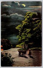 Night Time View Moonlight Country Road Donkey Wagon Forest Vintage UNP Postcard picture