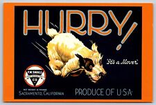 Postcard Sacramento California CA Hurry Terrier Dog Pear Fruit Crate Box Label picture