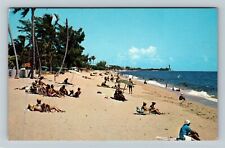Pompano Beach FL-Florida Enjoying Fun In The Sun, Swimming Chrome c1963 Postcard picture