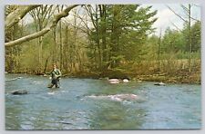 Stream Fishing Fly Trout Eau Claire Wisconsin Vintage Postcard picture