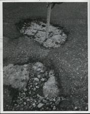 1970 Press Photo Memorial Shoreway- bad paving - cva92799 picture