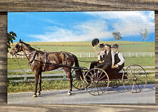 Vintage Postcard The Amish Courting Buggy Lancaster Pennsylvania picture