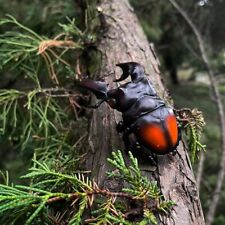 【In-Stock】Animal Heavenly Body Parry’s Stag Beetle Hexarthrius Insect Statue picture
