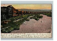 c.1909 Postcard  A Logging Train Hauling A California Big Tree To The Mill  picture