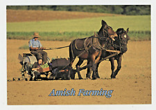 Vintage Postcard PENNSYLVANIA AMISH FARMING CHROME UNPOSTED 6X4 picture