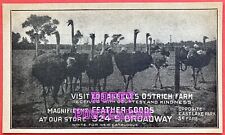 LOS ANGELES OSTRICH FARM & STORE ADVERTISEMENT, CALIF ~ PHOTO postcard~ 1920s  picture