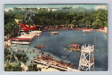 Silver Springs FL-Florida, Nature's Underwater Fairyland, Vintage Postcard picture