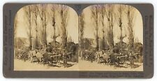 c1900's Real Photo Stereoview Ox Teams and Drivers in Rural Chile South America picture