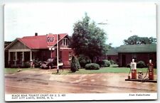 Gulf Gas Station Pumps Black Bear Tourist Court Boone North Carolina NC PM 1950 picture
