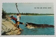 Elm Grove Camp Rice Lake Postcard Keene Ontario Ca Beach Boys Fish Biting Good  picture