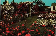 Jackson Perkins Rose Garden Neward NY New York VTG Postcard PM Portageville WOB picture
