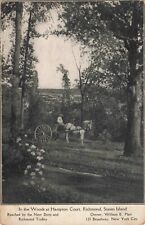 In the Woods Hampton Court Richmond Staten Island New York NY c1910 Postcard picture