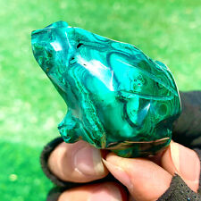 104G Natural glossy Malachite  Crystal  Handcarved frog  mineral sample picture