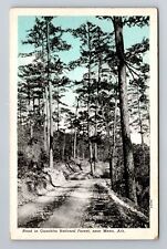 Mena AR-Arkansas, Road In Ouachita National Forest, Vintage Souvenir Postcard picture