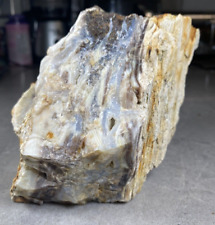 Opalized Petrified Wood 4lb 6oz Display Specimen From Oregon's Blue Mountains picture