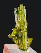 Mesmerizing TOURMALINE Tower Type Crystal Cluster With Rare MICROLITE  picture