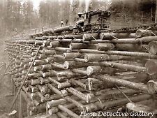 Logging Railroad Crib Trestle, Columbian & Nehalem Valley RR Oregon -Photo Print picture