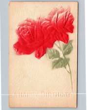Postcard Embossed Birthday Greeting With Red Roses Web Background VTG c1910  H15 picture