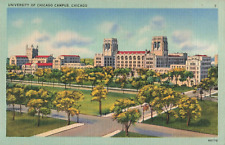 Chicago IL Illinois, University of Chicago Campus, Vintage Postcard picture