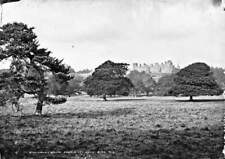 Killarney House from River Walk, Co. Kerry c1900 Ireland OLD PHOTO picture
