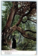1908 Woman Standing at Gorge Park Victoria British Columbia Canada Postcard picture