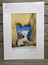 Vintage Art Wolfe 2000 Living Wild Baby Polar Bear Color Photo 5x7 picture